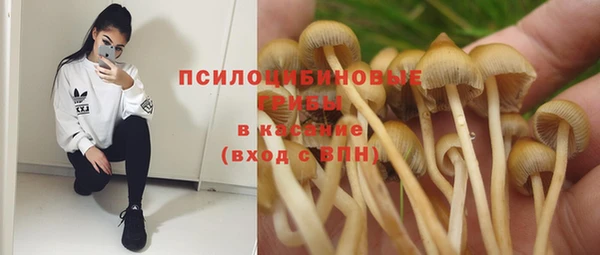 гидра Белокуриха