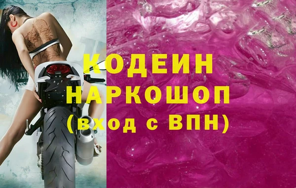 гидра Белокуриха