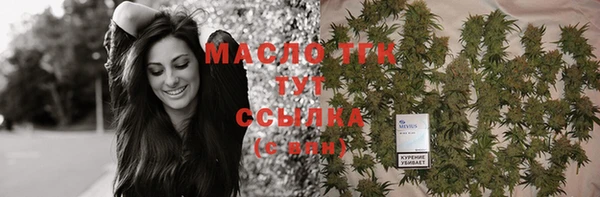 тгк Богородицк